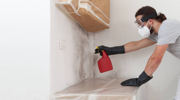 Professional Mold Inspection And Testing technician working in Fair Haven, NY